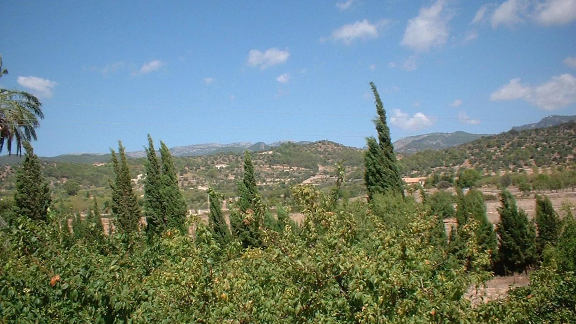 Son Corco Villa Consell